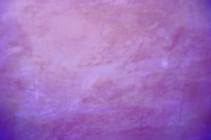 Image21